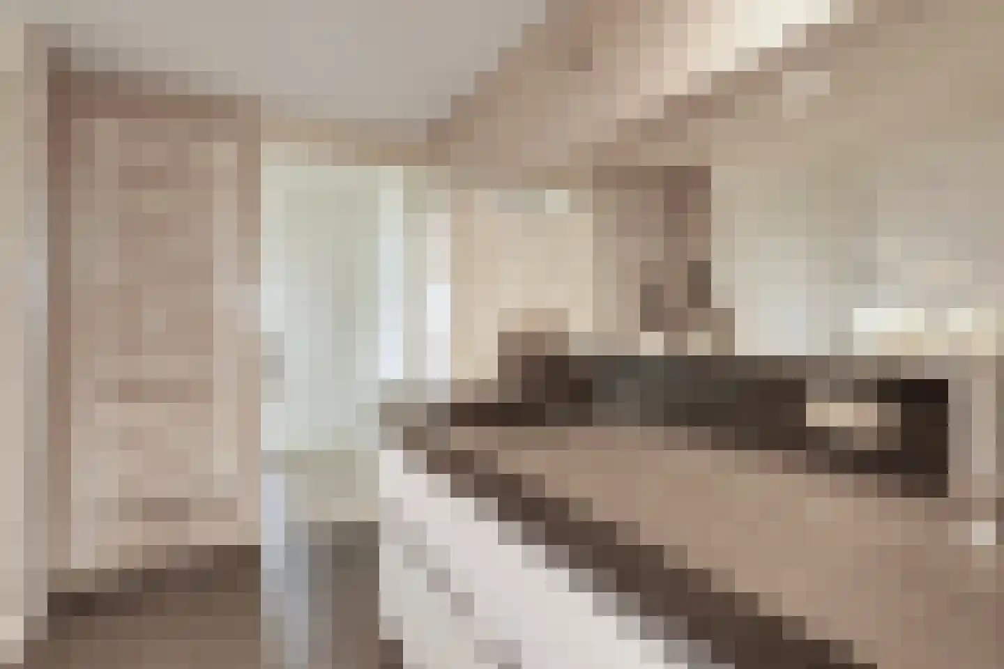 Anjertuin 45 Bergschenhoek thumbnail 23