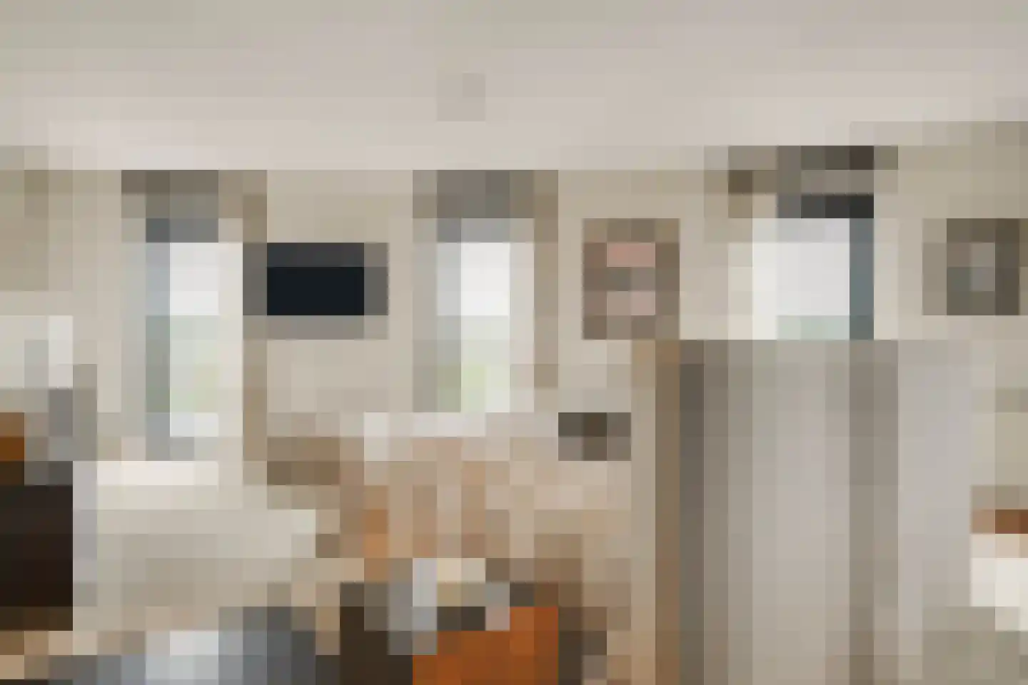 Anjertuin 45 Bergschenhoek thumbnail 26