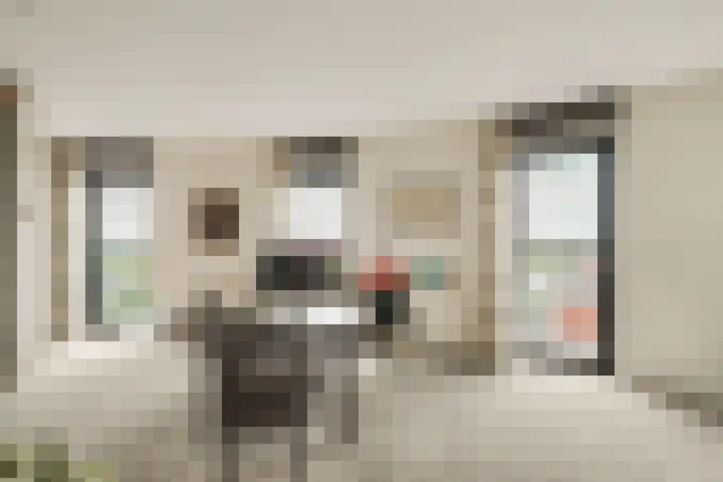 Anjertuin 45 Bergschenhoek thumbnail 30
