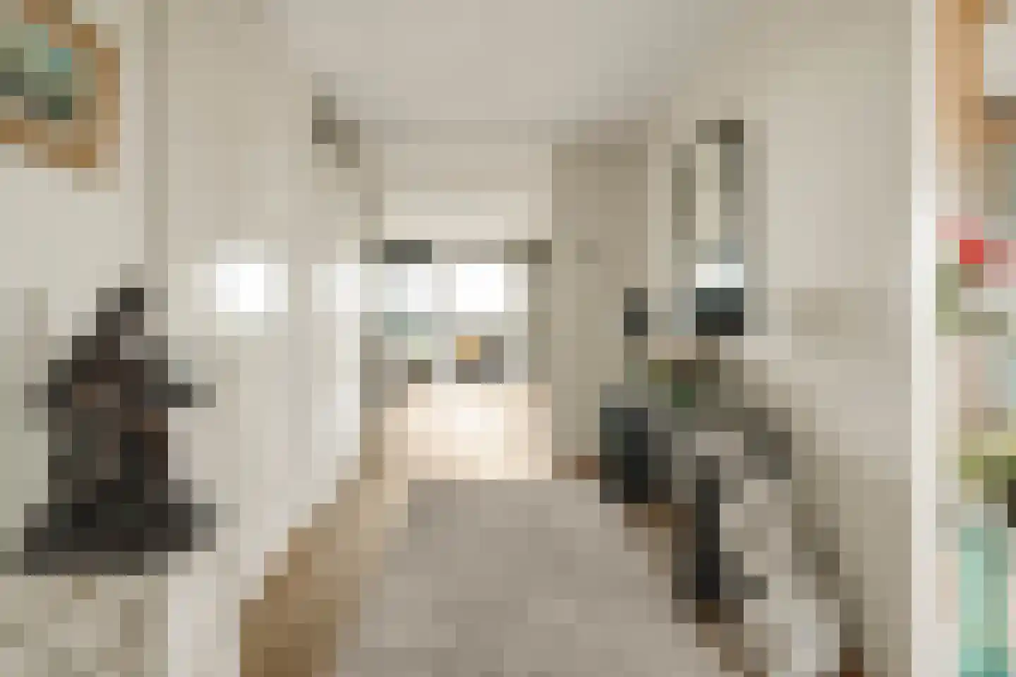 Anjertuin 45 Bergschenhoek thumbnail 31