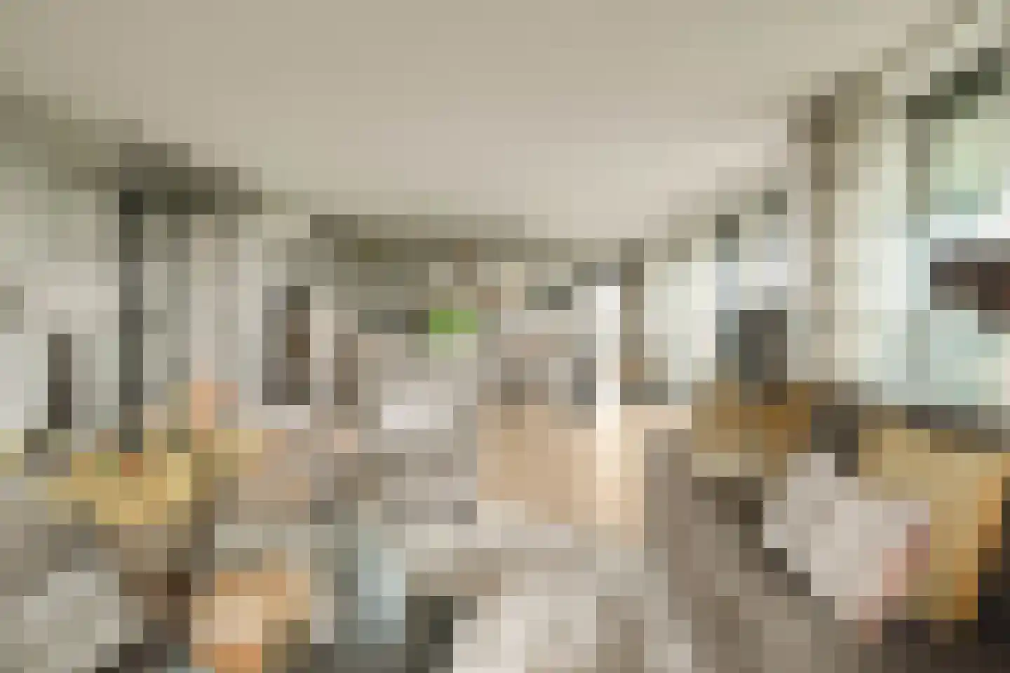 Anjertuin 45 Bergschenhoek thumbnail 4