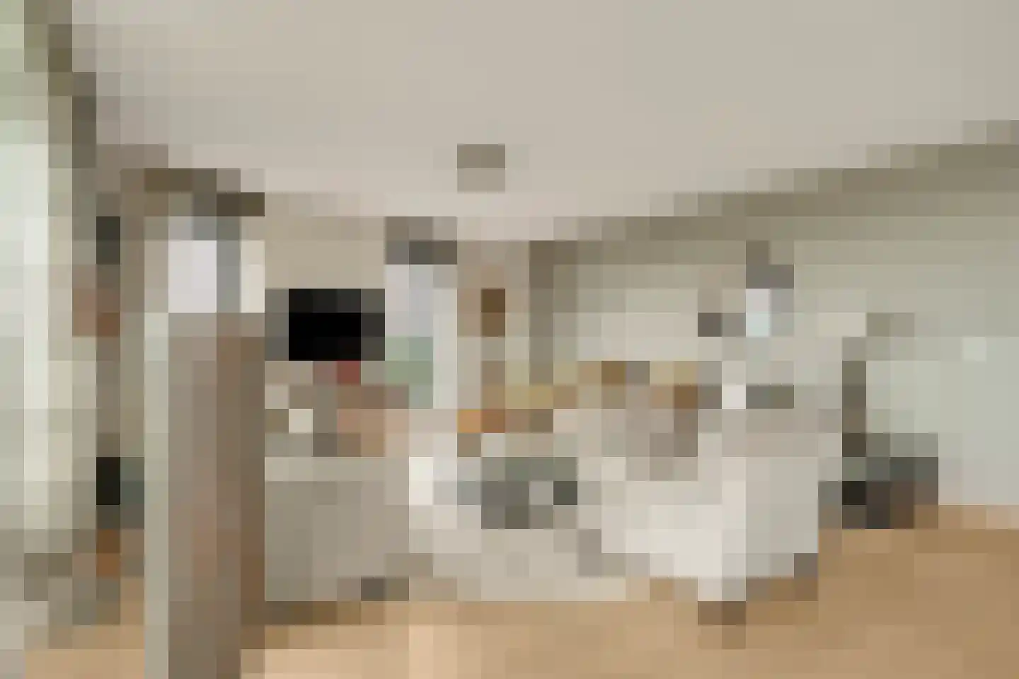 Anjertuin 45 Bergschenhoek thumbnail 5