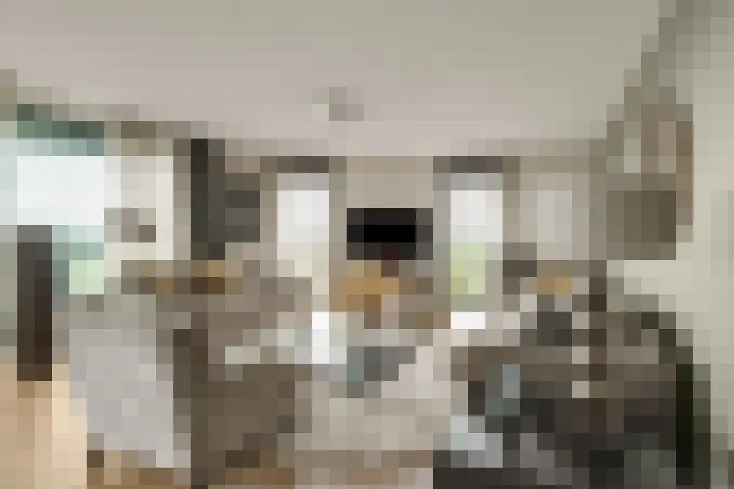 Anjertuin 45 Bergschenhoek thumbnail 6