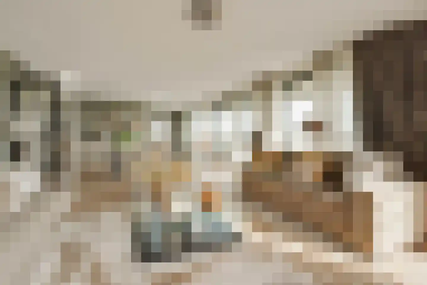 Anjertuin 45 Bergschenhoek thumbnail 7