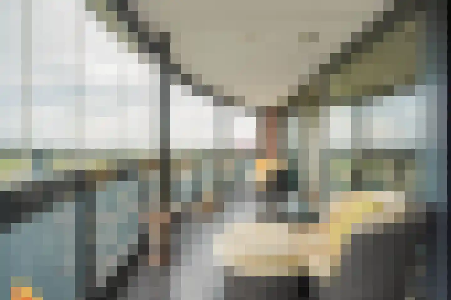 Anjertuin 45 Bergschenhoek thumbnail 8