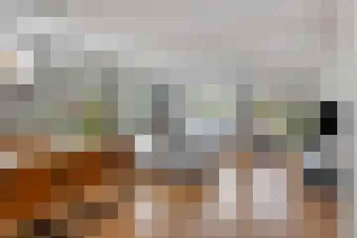 Anjervallei 113 's-Hertogenbosch thumbnail 14