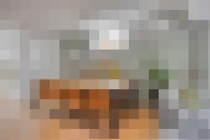 Anjervallei 113 's-Hertogenbosch thumbnail 15