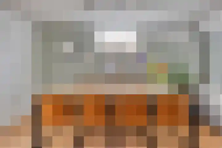 Anjervallei 113 's-Hertogenbosch thumbnail 16