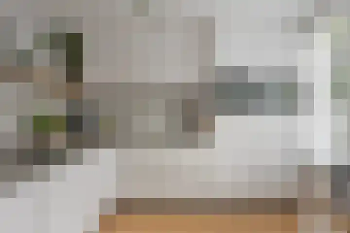 Anjervallei 113 's-Hertogenbosch thumbnail 18