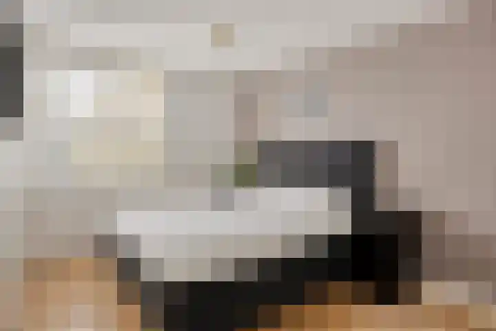 Anjervallei 113 's-Hertogenbosch thumbnail 19