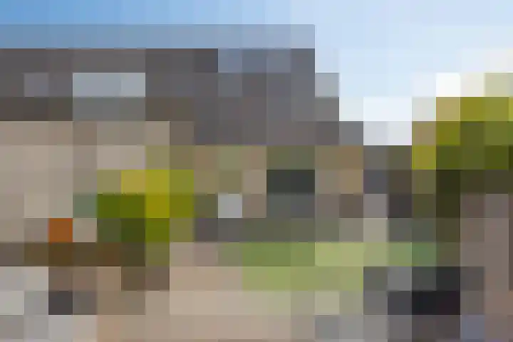 Anjervallei 113 's-Hertogenbosch thumbnail 30