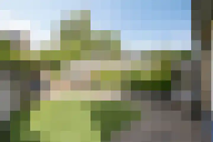 Anjervallei 113 's-Hertogenbosch thumbnail 31