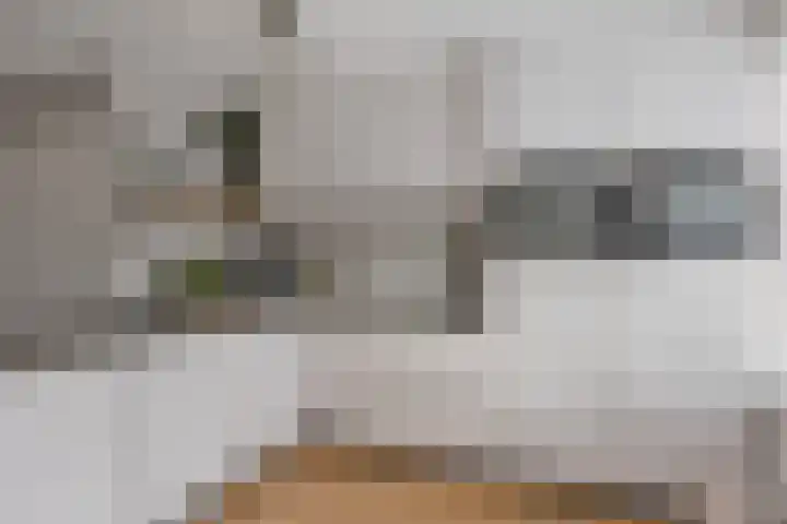 Anjervallei 113 's-Hertogenbosch thumbnail 4