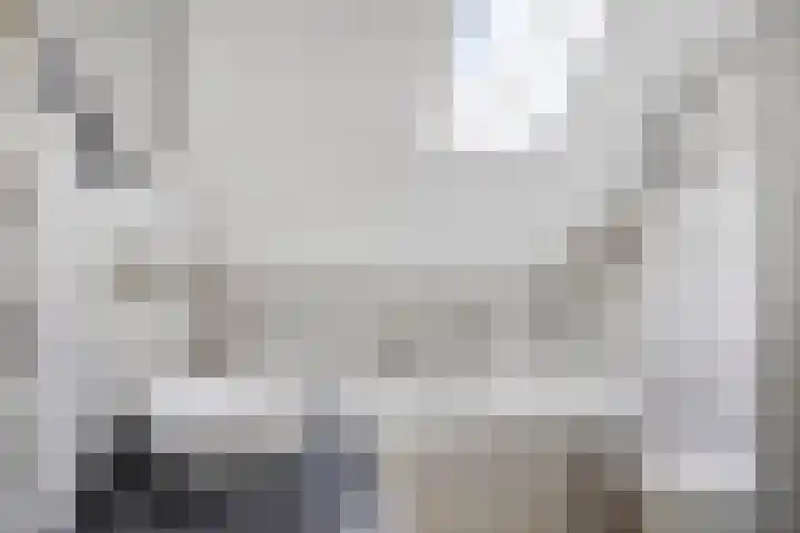 Anjervallei 113 's-Hertogenbosch thumbnail 5