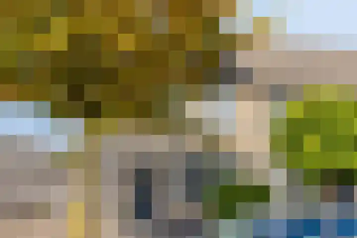 Anjervallei 113 's-Hertogenbosch thumbnail 6