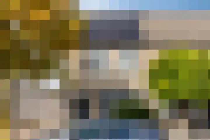 Anjervallei 113 's-Hertogenbosch thumbnail 7