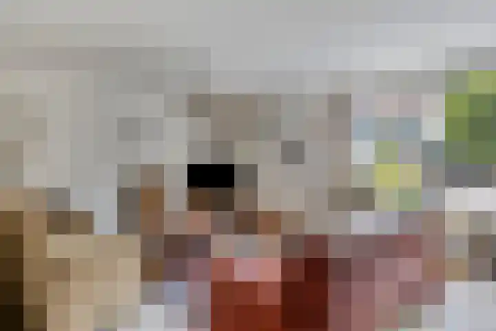 Anjervallei 14 's-Hertogenbosch thumbnail 10