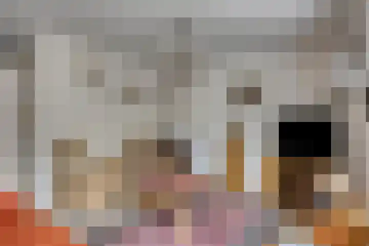 Anjervallei 14 's-Hertogenbosch thumbnail 12