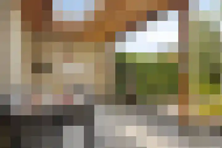 Anjervallei 14 's-Hertogenbosch thumbnail 13