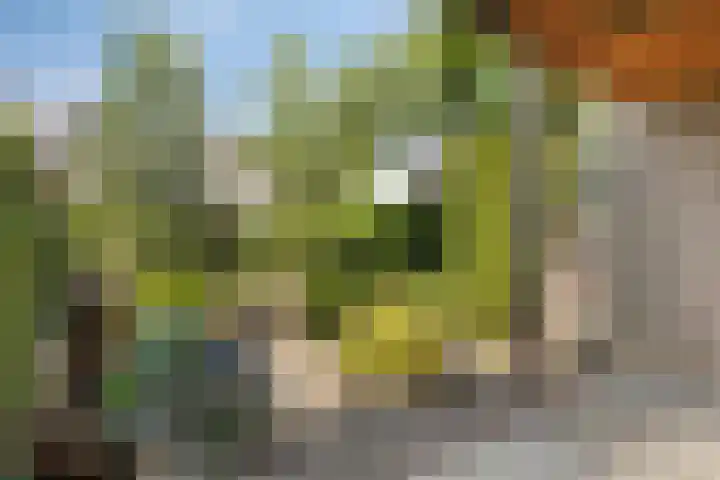 Anjervallei 14 's-Hertogenbosch thumbnail 14
