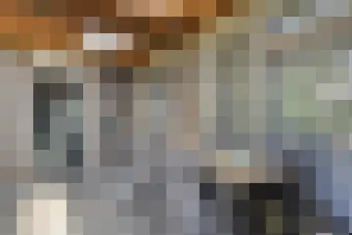 Anjervallei 14 's-Hertogenbosch thumbnail 15