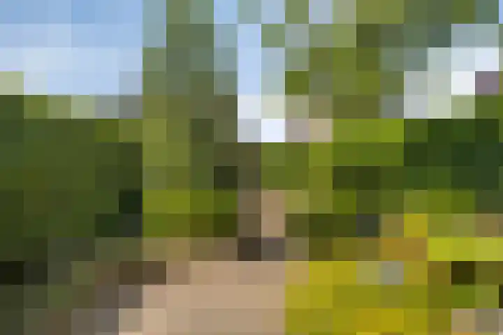 Anjervallei 14 's-Hertogenbosch thumbnail 16