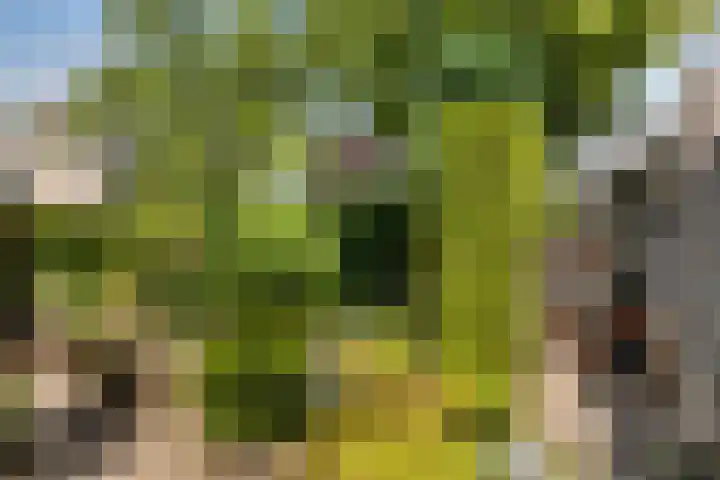 Anjervallei 14 's-Hertogenbosch thumbnail 17