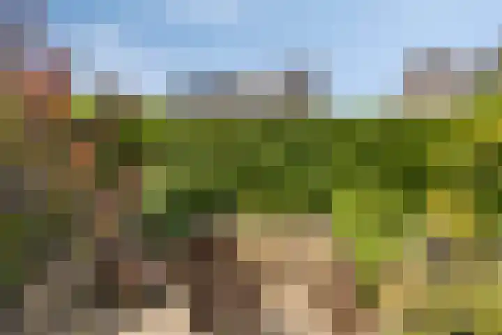 Anjervallei 14 's-Hertogenbosch thumbnail 20