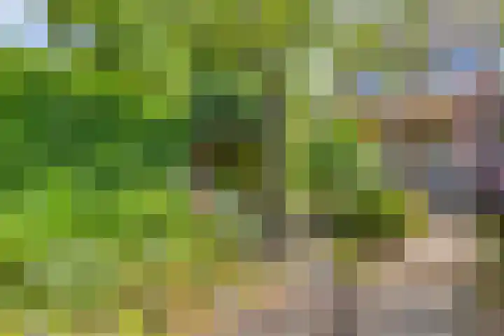 Anjervallei 14 's-Hertogenbosch thumbnail 21