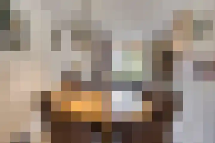 Anjervallei 14 's-Hertogenbosch thumbnail 22