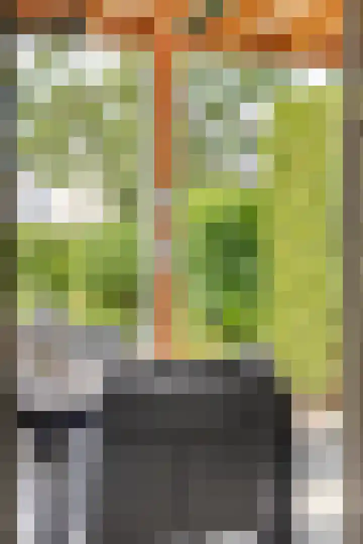 Anjervallei 14 's-Hertogenbosch thumbnail 23