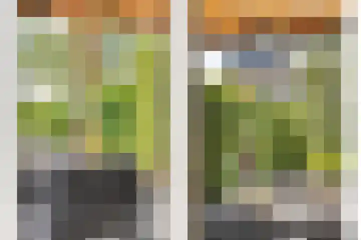 Anjervallei 14 's-Hertogenbosch thumbnail 26