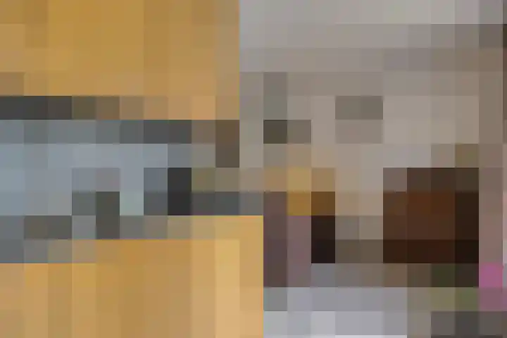 Anjervallei 14 's-Hertogenbosch thumbnail 27
