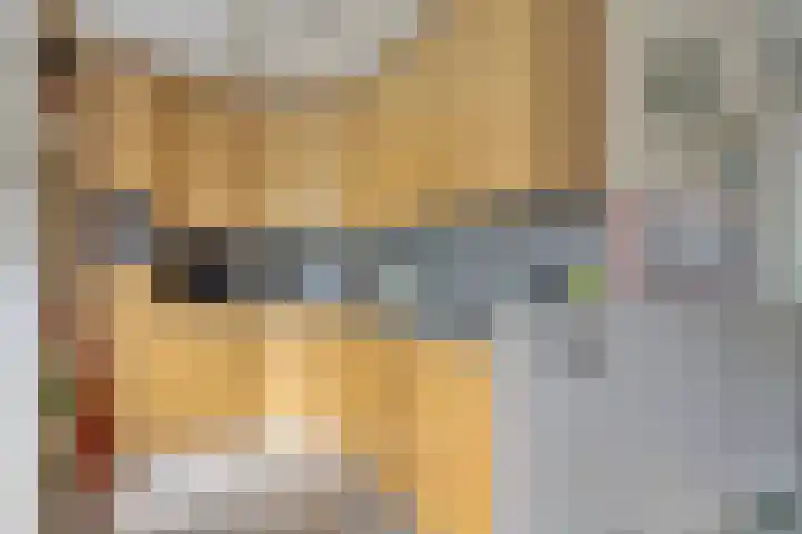 Anjervallei 14 's-Hertogenbosch thumbnail 28