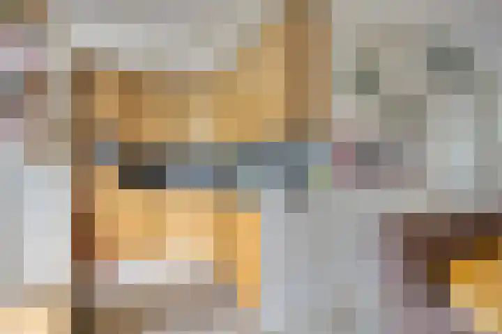 Anjervallei 14 's-Hertogenbosch thumbnail 29