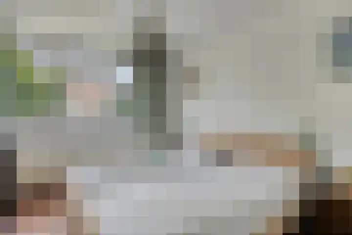 Anjervallei 14 's-Hertogenbosch thumbnail 32