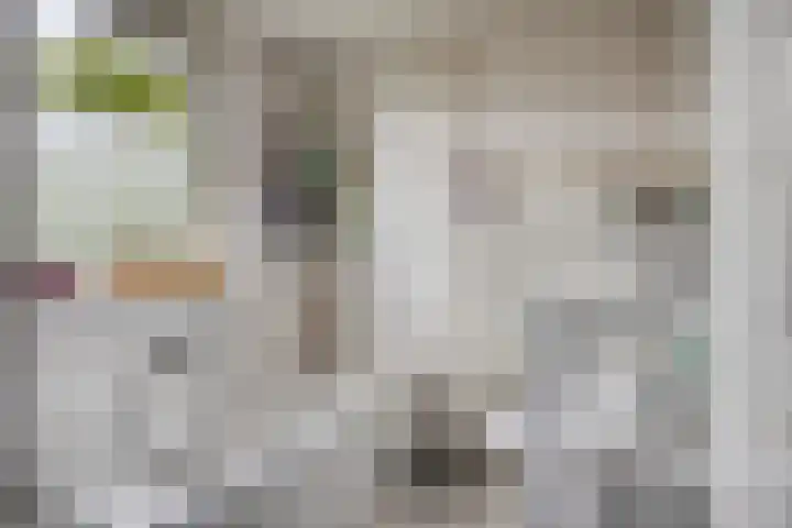 Anjervallei 14 's-Hertogenbosch thumbnail 35