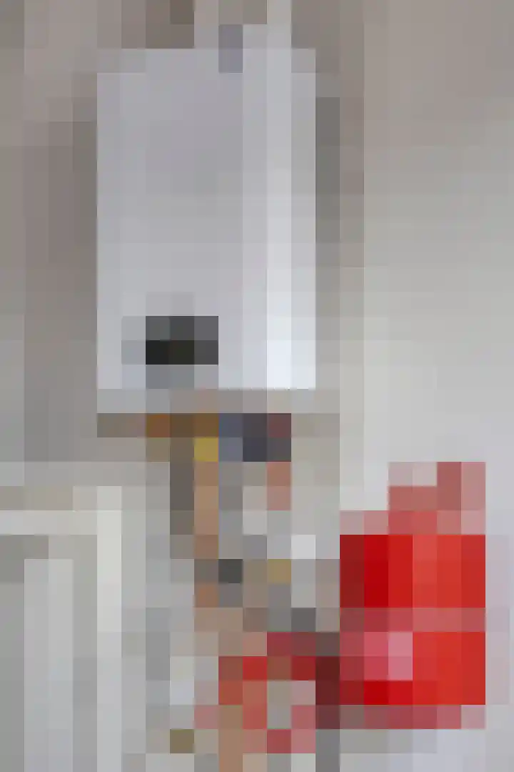 Anjervallei 14 's-Hertogenbosch thumbnail 37