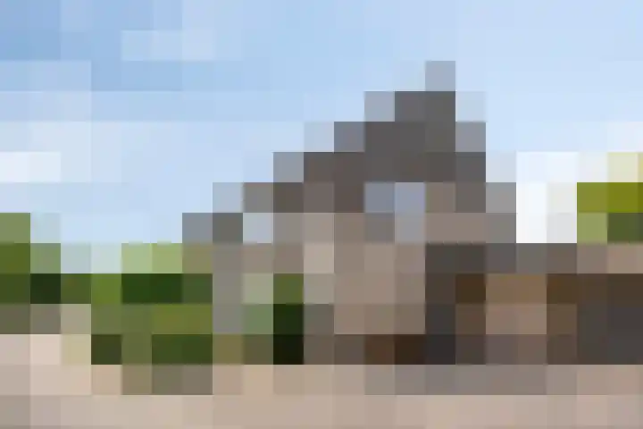 Anjervallei 14 's-Hertogenbosch thumbnail 4