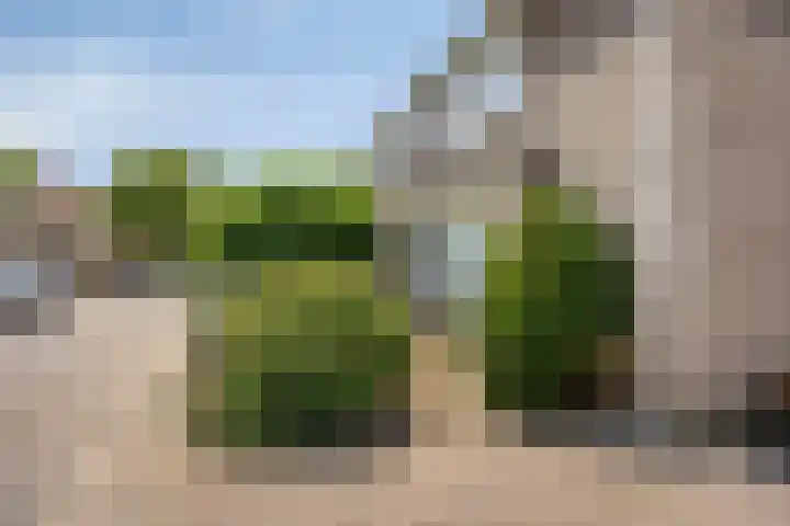 Anjervallei 14 's-Hertogenbosch thumbnail 5