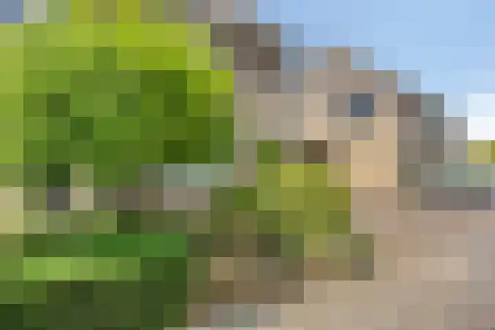 Anjervallei 14 's-Hertogenbosch thumbnail 6
