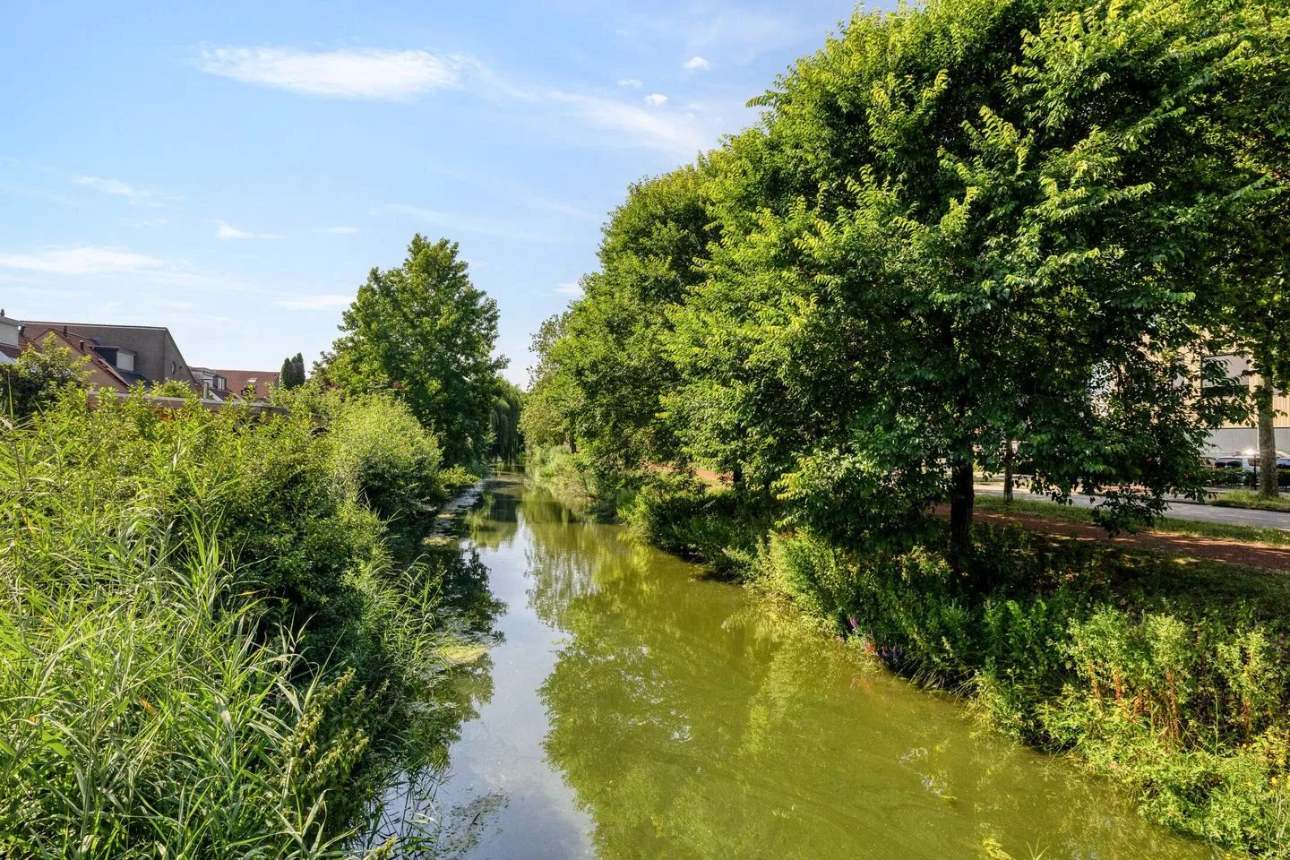 Anjervallei 155 's-Hertogenbosch thumbnail 40