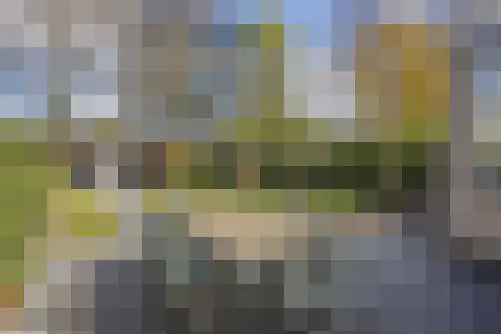 Anjervallei 25 's-Hertogenbosch thumbnail 21