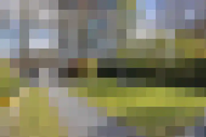 Anjervallei 25 's-Hertogenbosch thumbnail 22