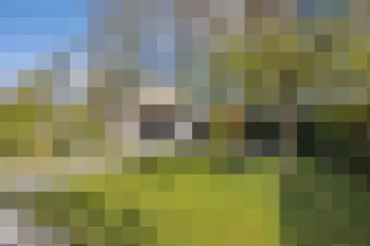 Anjervallei 25 's-Hertogenbosch thumbnail 23