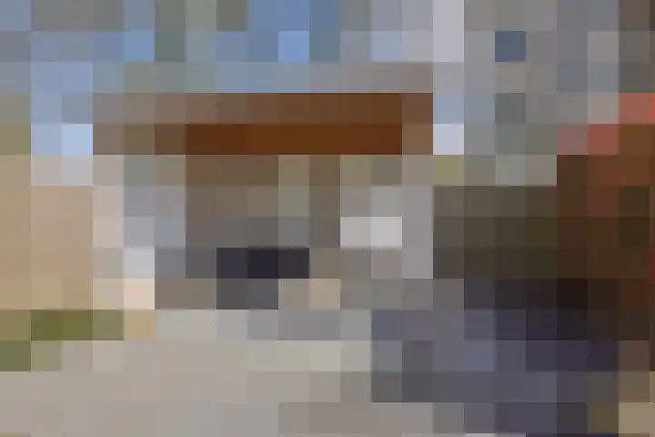 Anjervallei 25 's-Hertogenbosch thumbnail 24