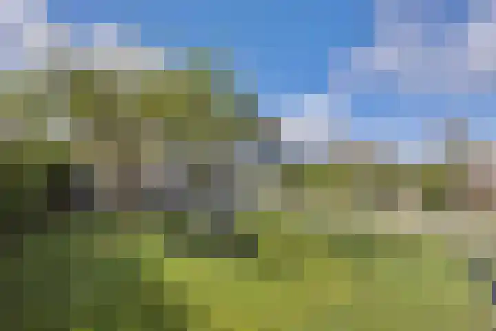 Anjervallei 25 's-Hertogenbosch thumbnail 25