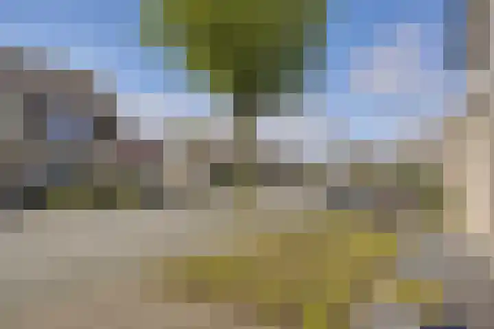 Anjervallei 25 's-Hertogenbosch thumbnail 27
