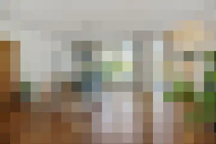 Anjervallei 25 's-Hertogenbosch thumbnail 4