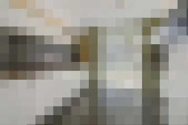 Anjervallei 25 's-Hertogenbosch thumbnail 9